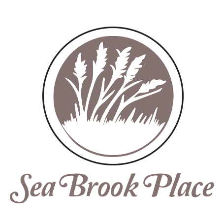 sea-brook-icon